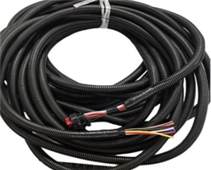 Automotive Harness